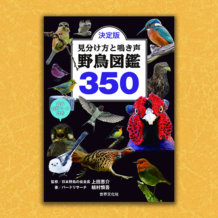 決定版　見分け方と鳴き声　野鳥図鑑350